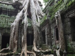 Best Of Cambodia – 6 days
